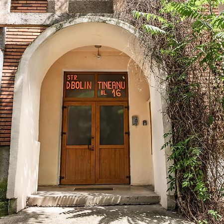 Arad Central Joy - Mihaela Apartment Exterior photo